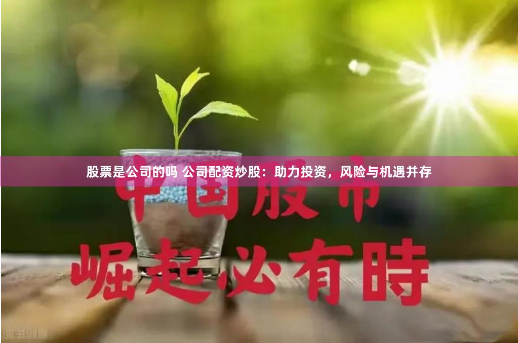 股票是公司的嗎 公司配資炒股：助力投資，風險與機遇并存
