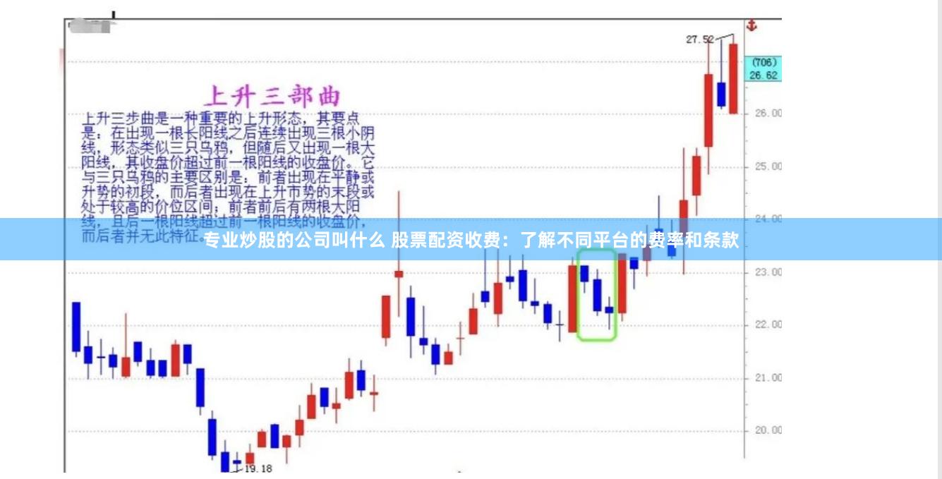 專業炒股的公司叫什么 股票配資收費：了解不同平臺的費率和條款